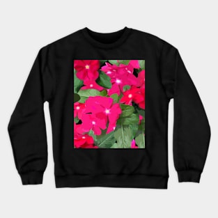 Magenta Impatiens Crewneck Sweatshirt